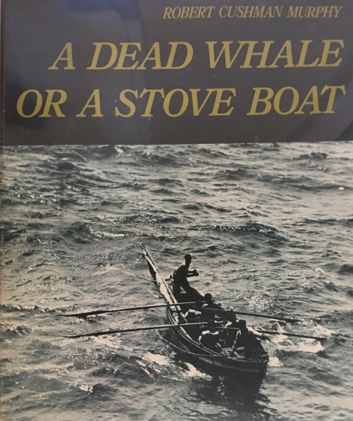 cover of A Dead Whale or a Stove Boat